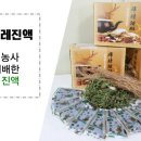 하얀민들레건강원