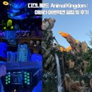 [미국_올랜도] 디즈니월드 Animal Kingdom : 아바타 어트랙션 꿀팁 및 후기