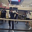 오스타짐 이미지