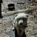 안녕 멈머야 이미지