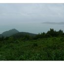 신지면-3 이미지