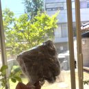 따숩(DDASOUP) 네이버블로그
