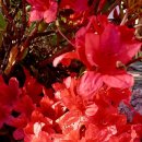 독립문약국 이미지