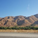 팜스프링 이미지