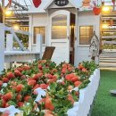 광주농장2 이미지