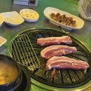 통통숯불돼지 | 양산동 삼겹살 맛집 숯불구이 통통돼지, 양산호수공원 근처 야외 노포 감성 고깃집