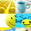 지혜의샘 이미지