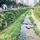 자담치킨 원미점 이미지