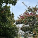 염돈주유소 이미지