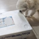 멍메이드 이미지