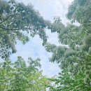 금강수목원(아) 이미지