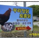 늘푸른유정란농장 네이버블로그