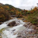 진고개공원 이미지