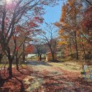 수원-1941 | 수원 광교 광교산 풍경이 예쁜 한옥카페_카페1941