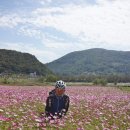 산책길-1 이미지