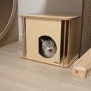 내방안 고양이 이미지