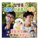 나는야 HERO 오른손을 이미지