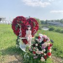 고모리보리밥 | 서울 장미축제 가는 법 중랑구민이 알려주는 꿀팁
