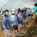 경희초등학교 이미지