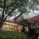 봉평메밀막국수 이미지