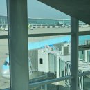 평균 만팔천보 걸은 4박 6일 싱가포르 가족여행 day 1 &amp; 2