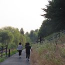 안양천 산책로 이미지