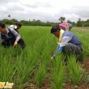 그레이스팜 이미지