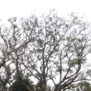 신목약국 이미지