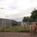 쿨스타스 이미지