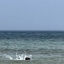 안도어촌체험관 이미지