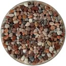 금호중앙중학교 이미지