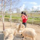 다송목장 이미지