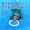 렛츠독 | [웅진플레이도시 렛츠플레이독]강아지 수영장 이용 후기