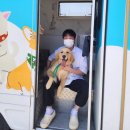 김해굿모닝병원 | 부산, 울산, 대구, 경남, 경북 대형견 출장 목욕 [ 멍빨DAY ] 📺 전국 방송 출연 완료! 이제는 KBS 전국...