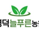늘푸른농원 이미지