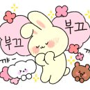 BG독케어센터 이미지