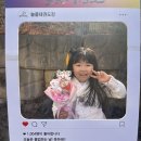 늘품태권도 2관 이미지