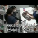 바로동물병원 이미지