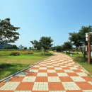 청양동강리오토캠핑장 이미지