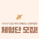 베르소 이미지