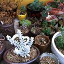 숙희농장 이미지