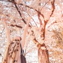 달성2터널(대구)