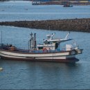 삼길포항 이미지