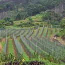 낙원농장3 이미지