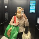 다이노탱 "쿼카 앤 보보 인더우드 팝업" 라인프랜즈 스퀘어 명동 팝업 사전예약 첫날 후기