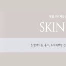 스킨톡스