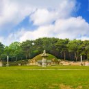 효행로481번길 이미지