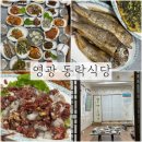 광명식당 | 영광맛집 동락식당에서 6인 한상차림 배터지게 즐기기