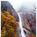 팔산천 Daum카페