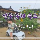 풀솜할머니 이미지